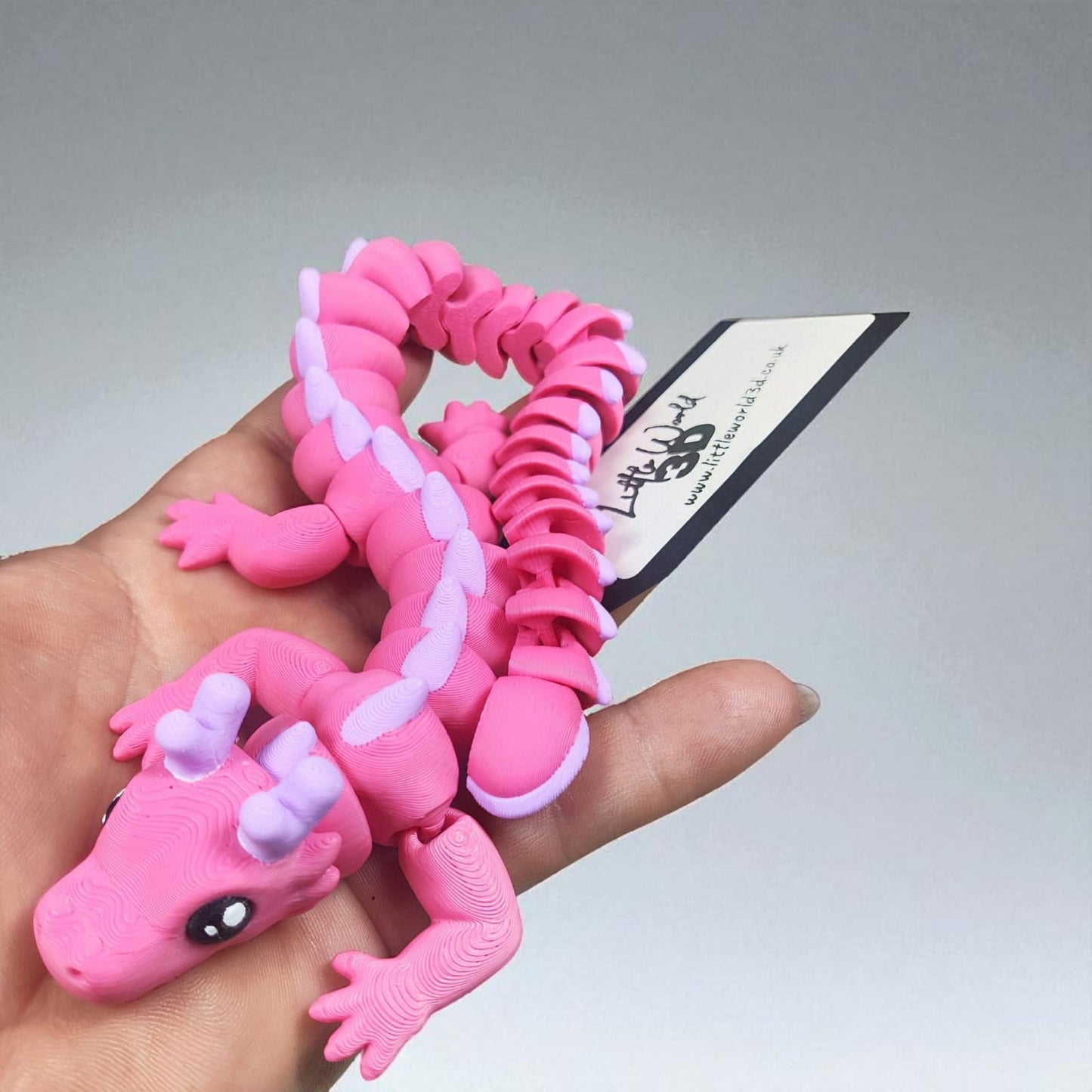 Zou's Dragon