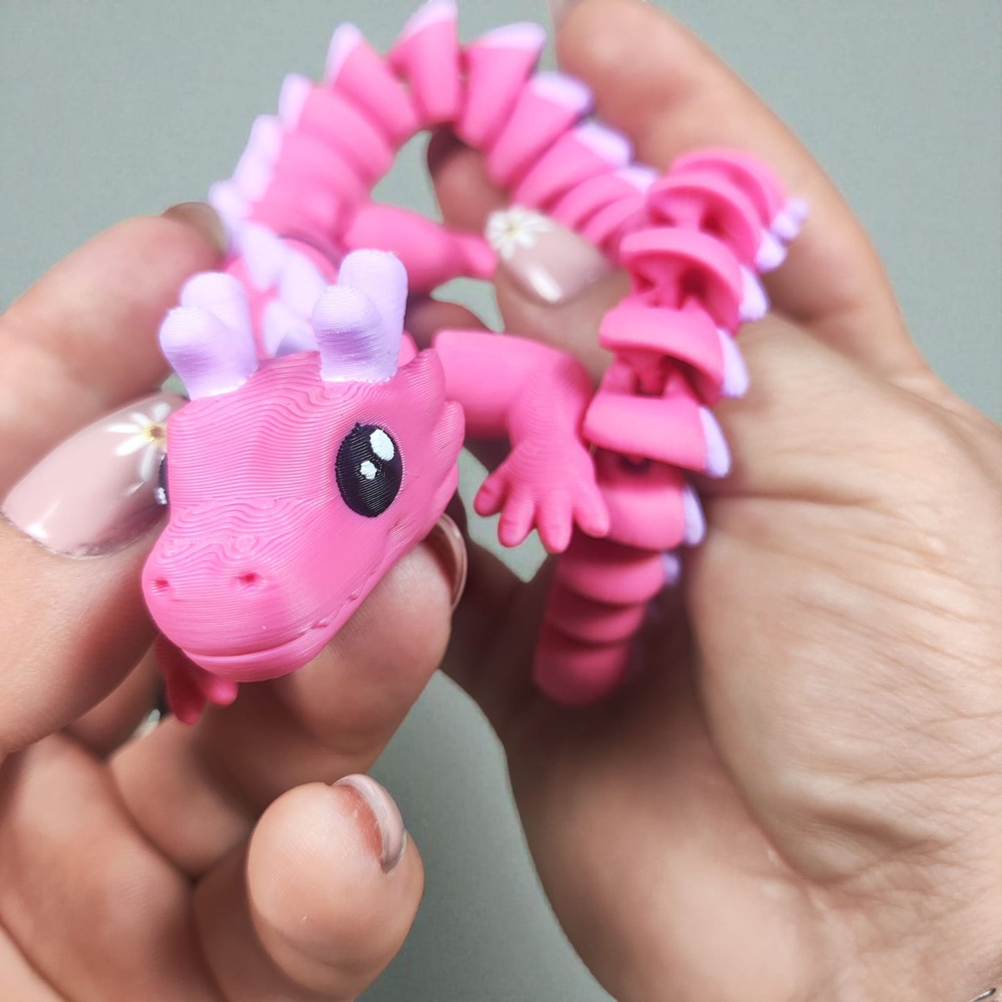 Zou's Dragon