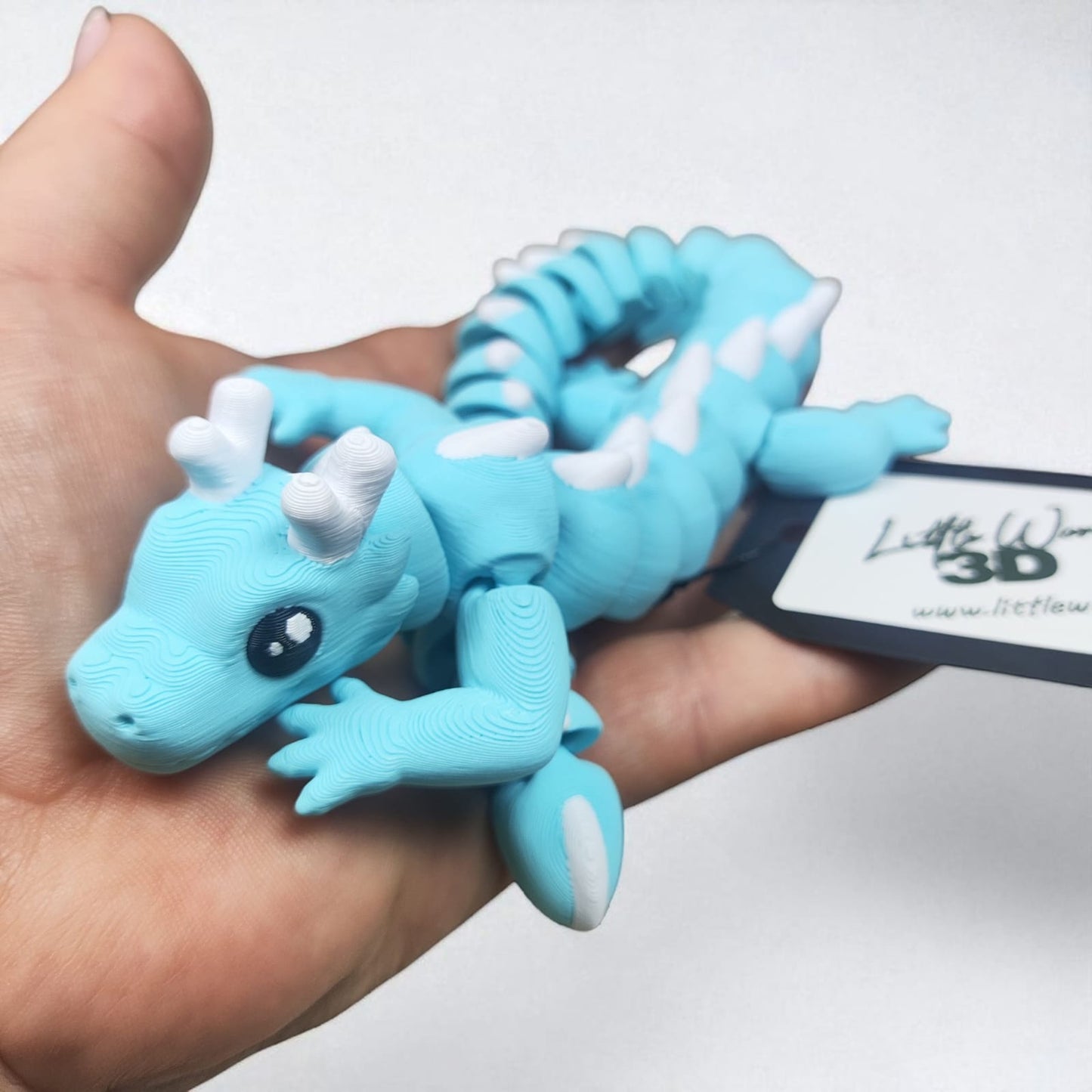 Zou's Dragon