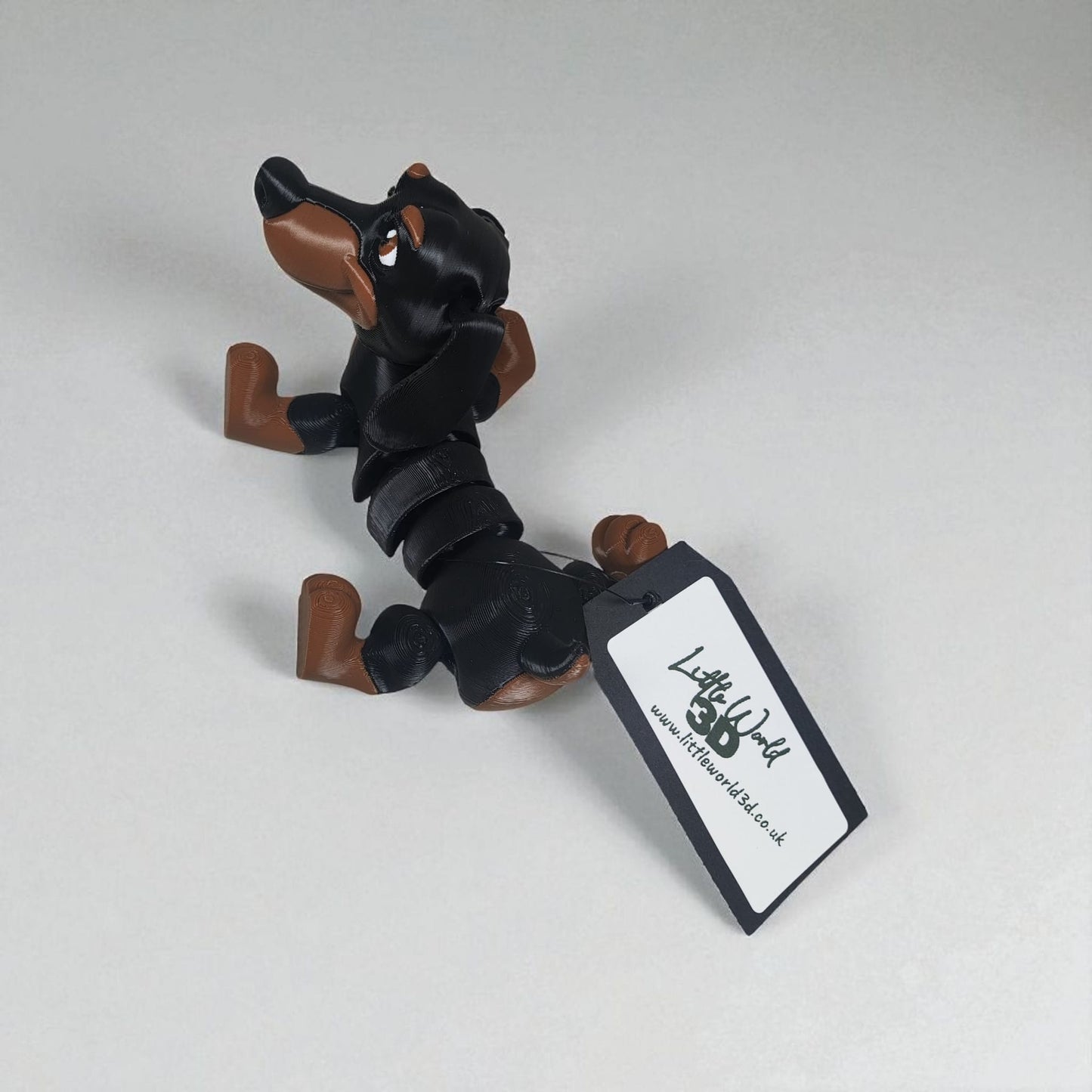 Frankie the Dachshund