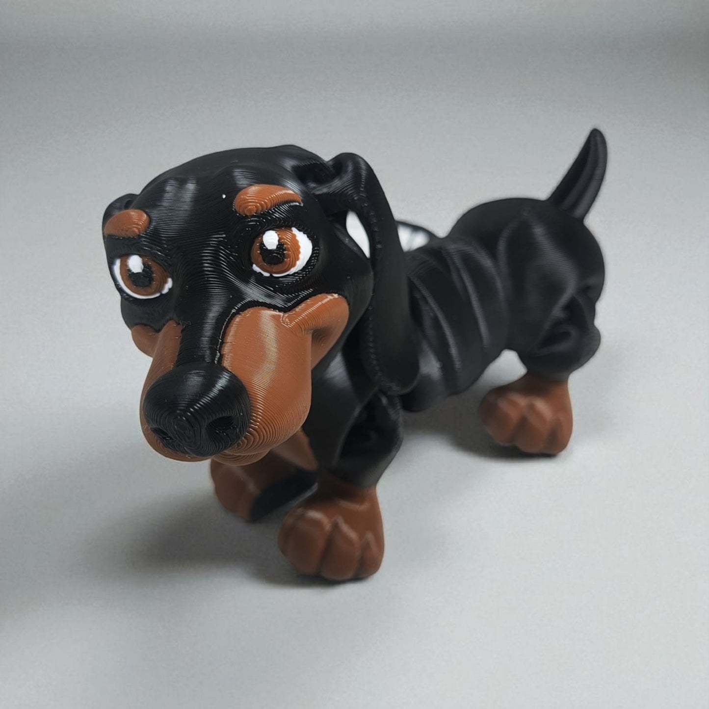 Frankie the Dachshund