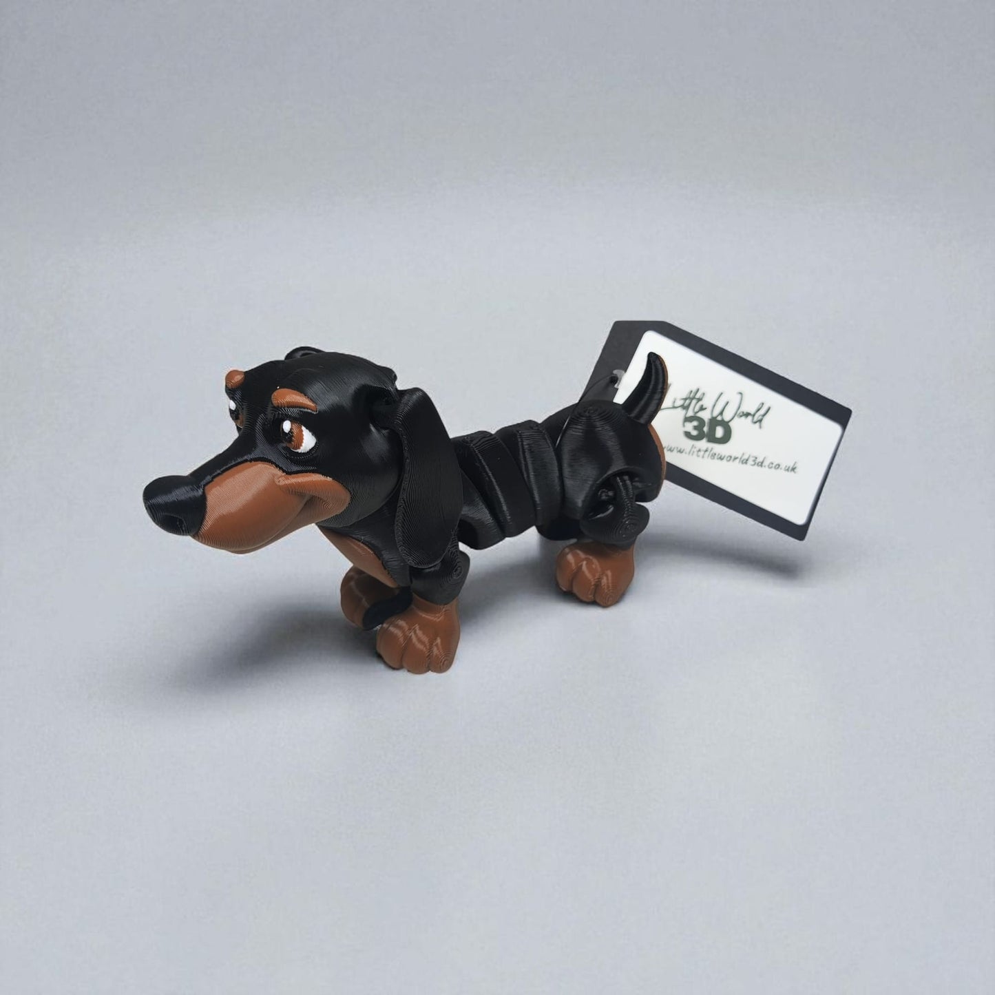 Frankie the Dachshund