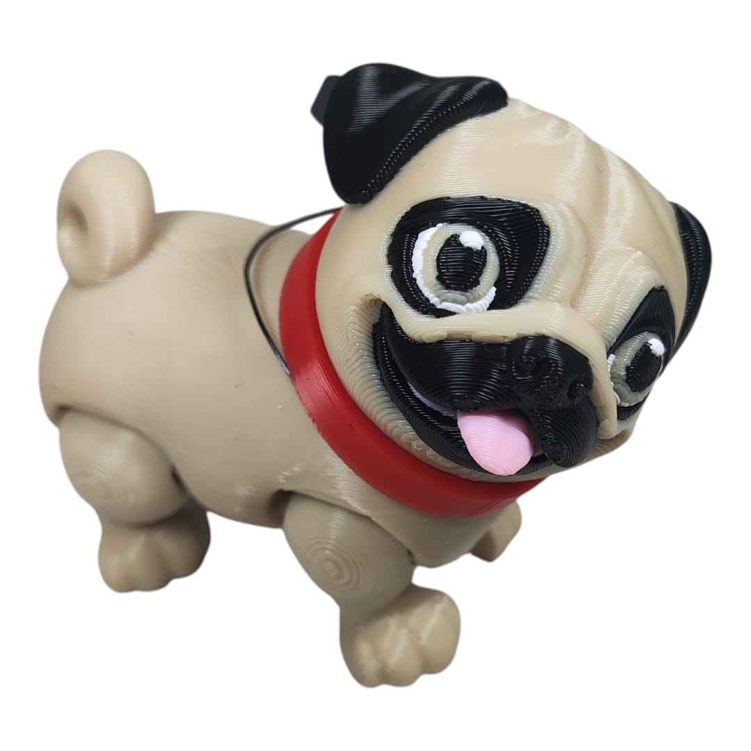 Churro the Pug