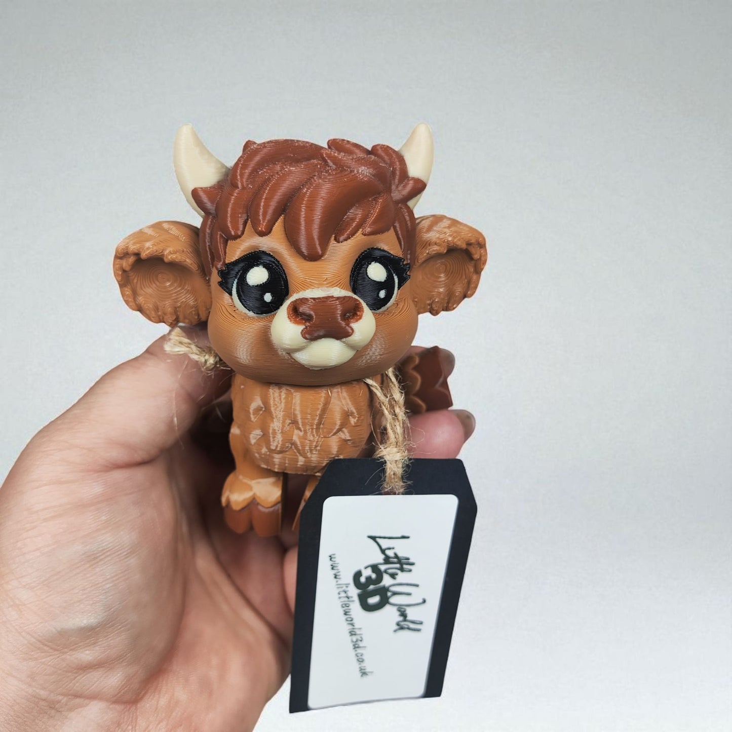 Highland Cow