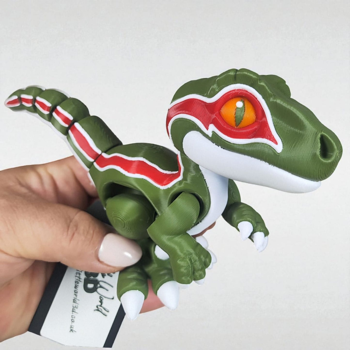 π¦ Velociraptor Collection β Wiggles & Pickles
