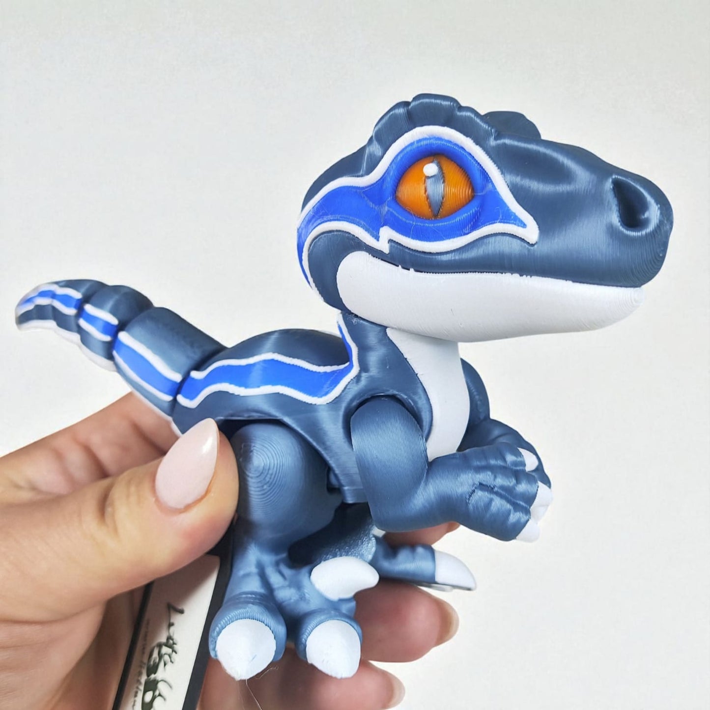 π¦ Velociraptor Collection β Wiggles & Pickles