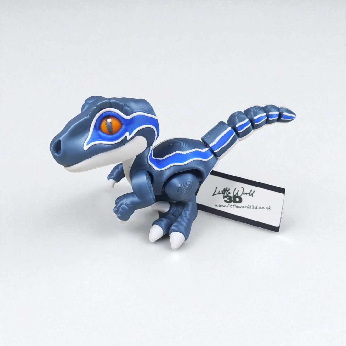 π¦ Velociraptor Collection β Wiggles & Pickles