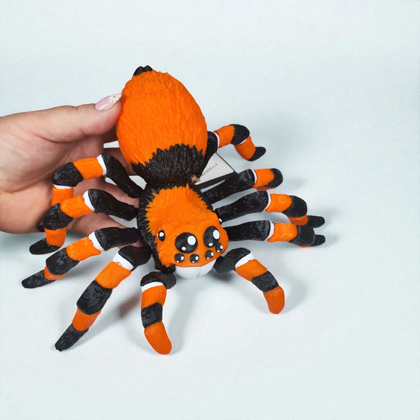 π·οΈ Articulated Tarantula β Brown & Orange Variants