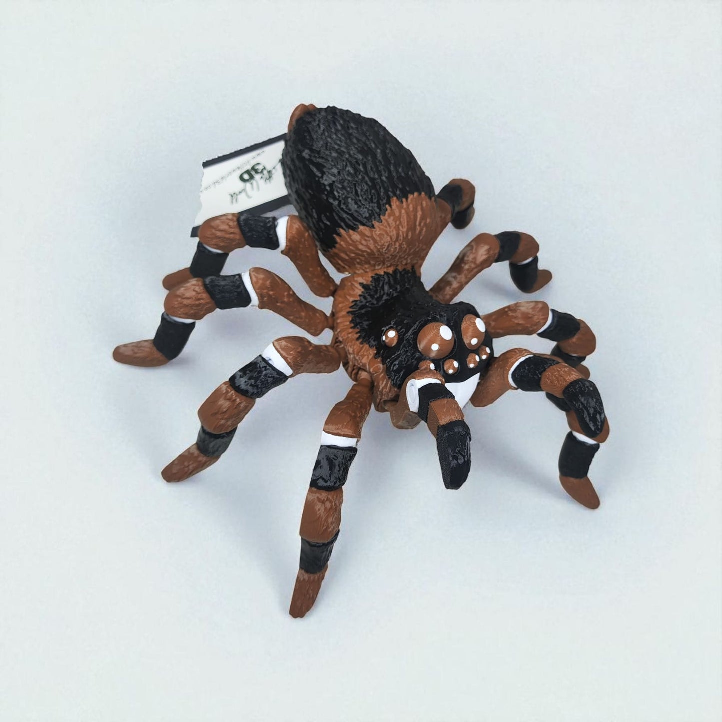 π·οΈ Articulated Tarantula β Brown & Orange Variants