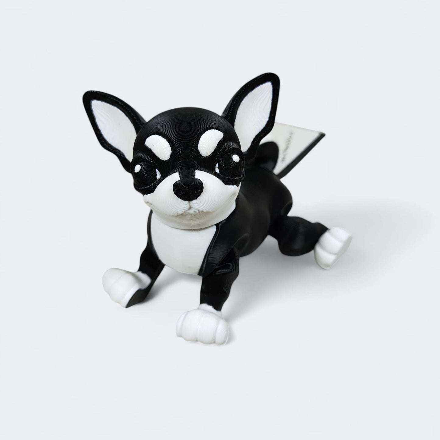 š¾ Articulated Chihuahua ā Tiny but Mighty Pup