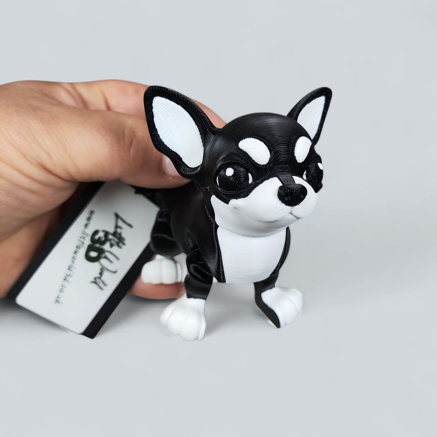 š¾ Articulated Chihuahua ā Tiny but Mighty Pup