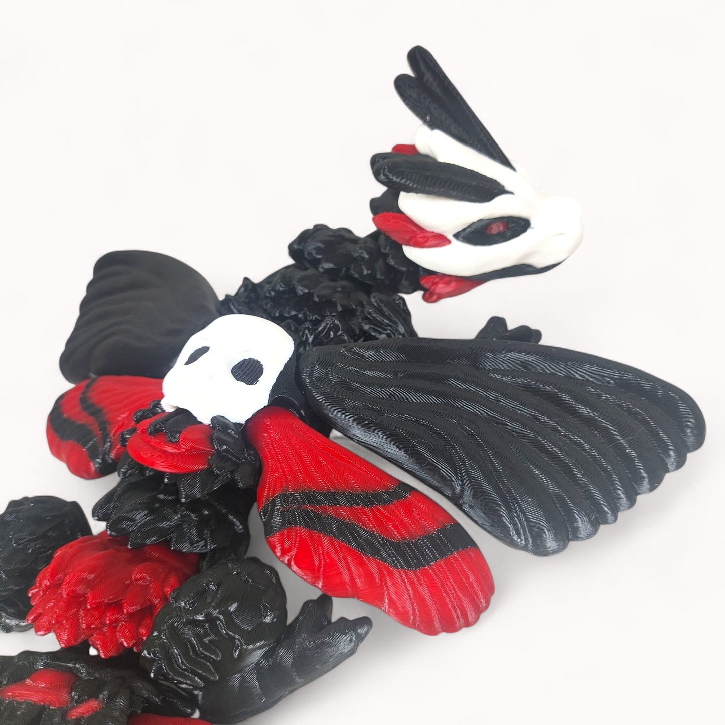 ๐ฆ๐ Moth Dragon โ Where Beauty Meets the Macabre
