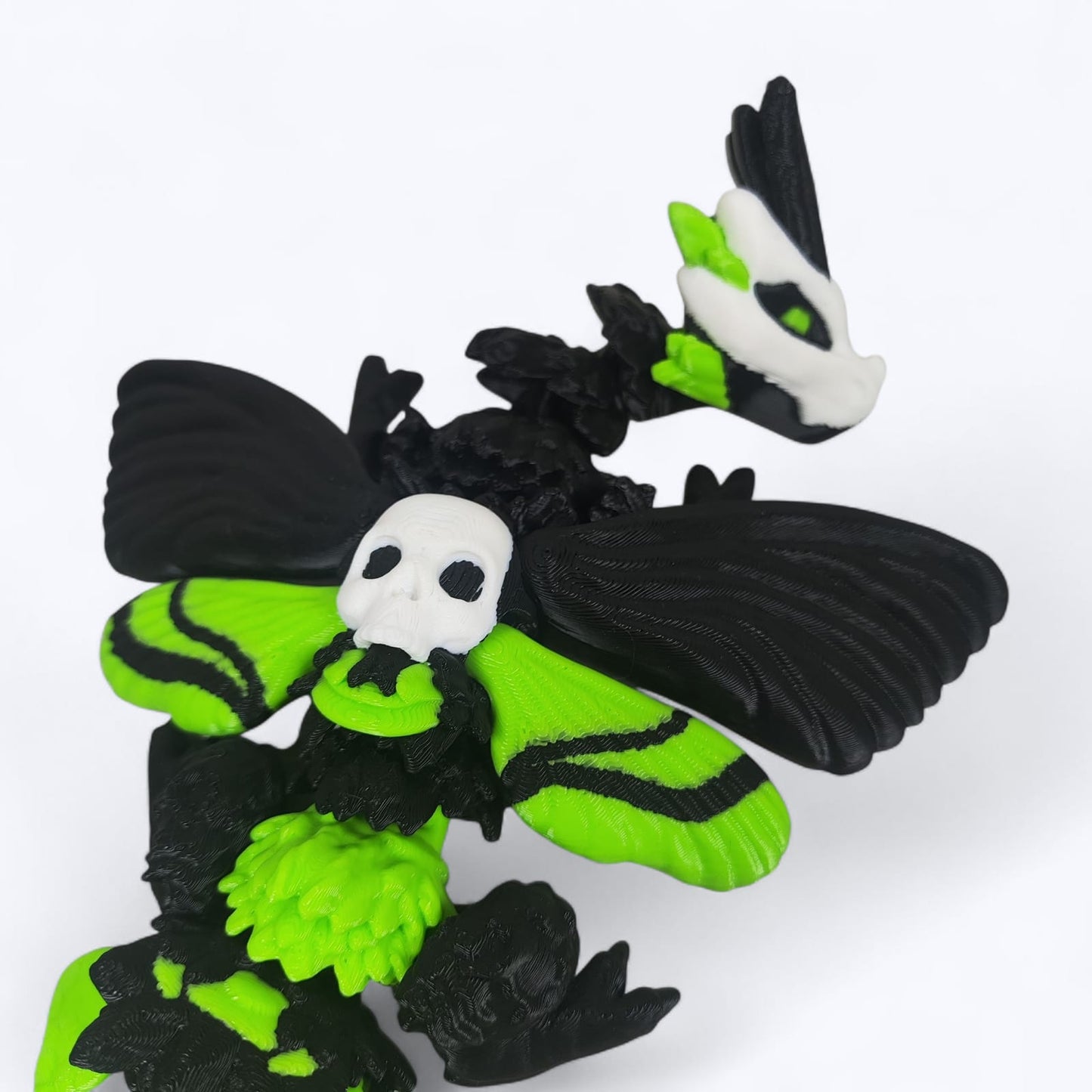๐ฆ๐ Moth Dragon โ Where Beauty Meets the Macabre