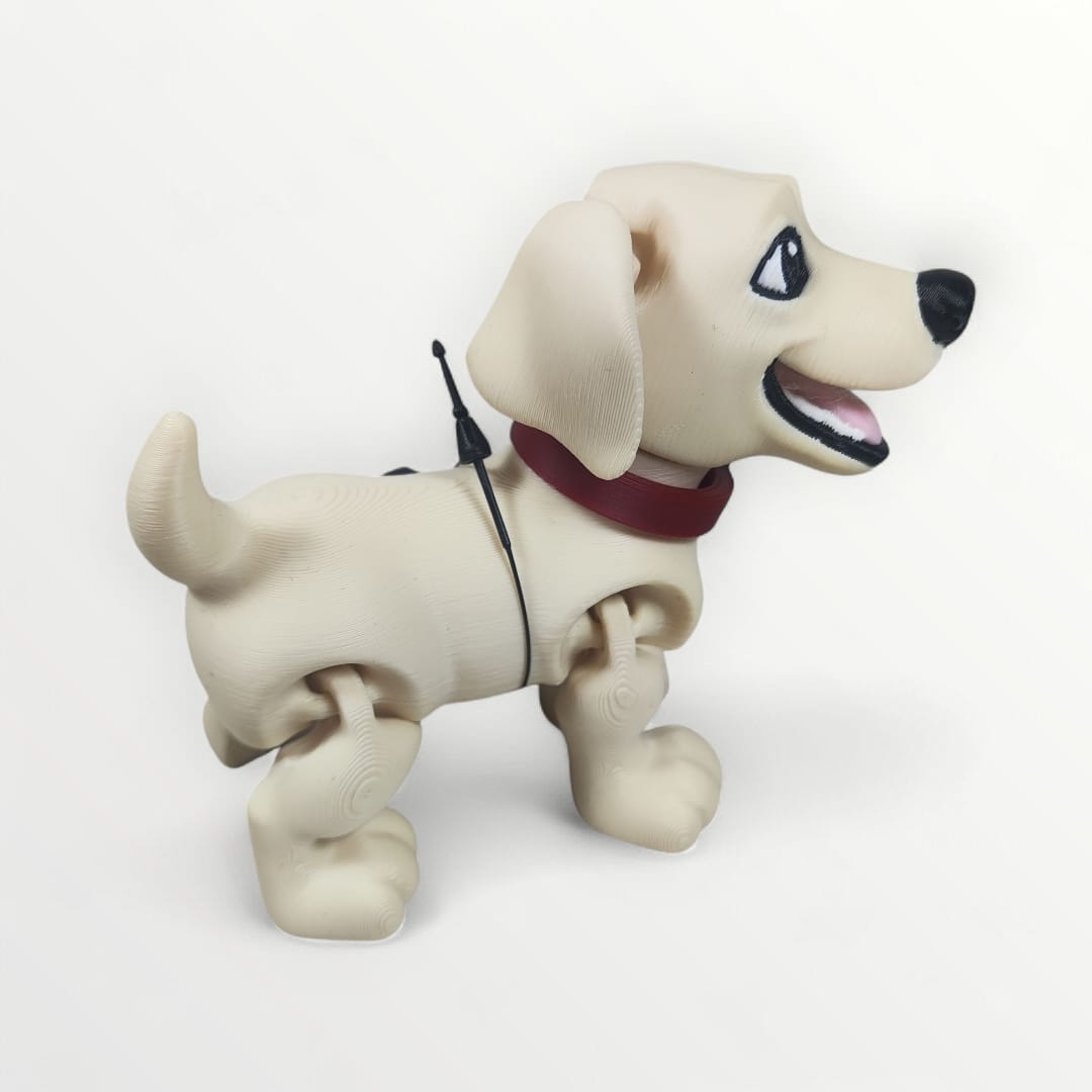 🐾 Labrador Luna — Loyal, Playful & Full of Heart