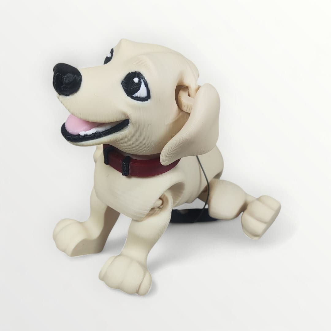 🐾 Labrador Luna — Loyal, Playful & Full of Heart