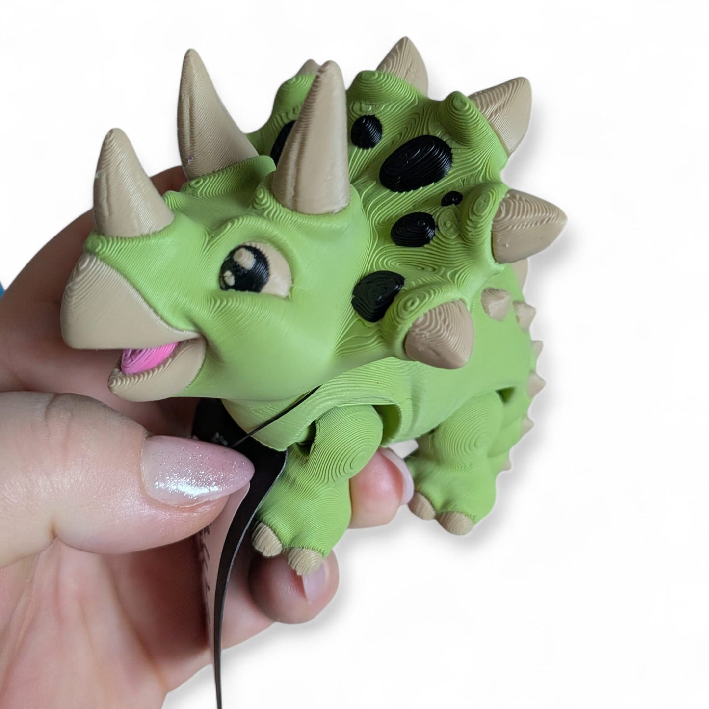 Triceratops – Fully Articulated Dinosaur