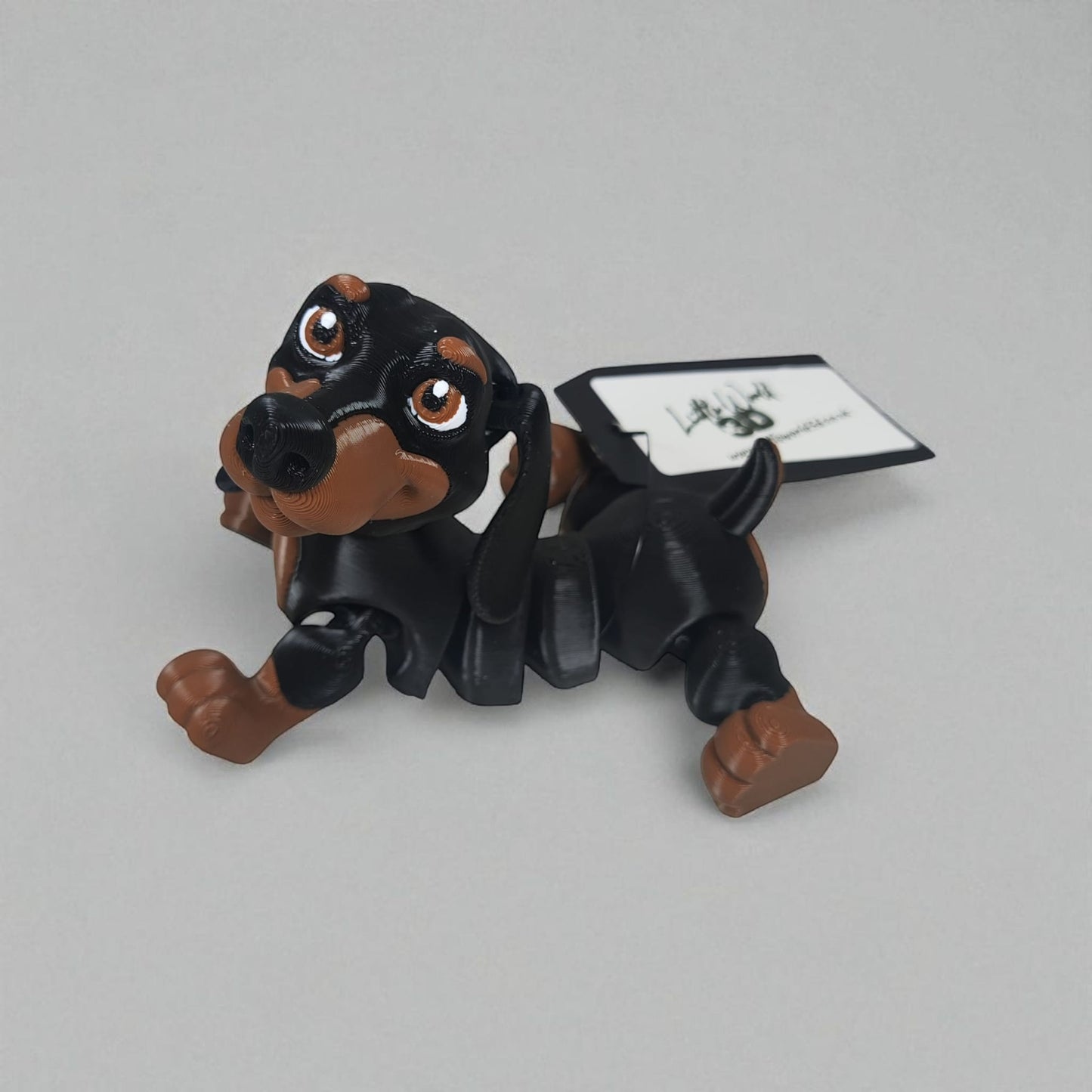 Frankie the Dachshund