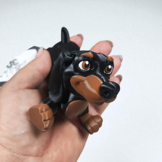 Frankie the Dachshund
