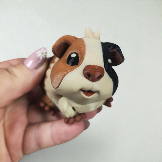 Biscuit the Guinea Pig