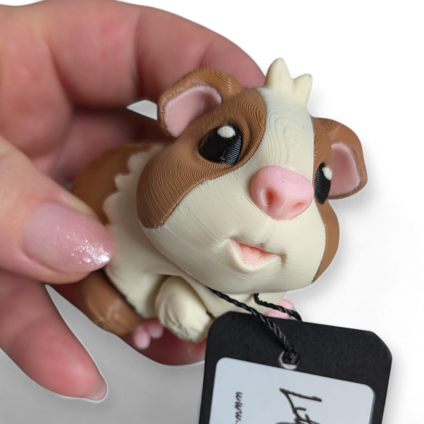 Guinea Pig