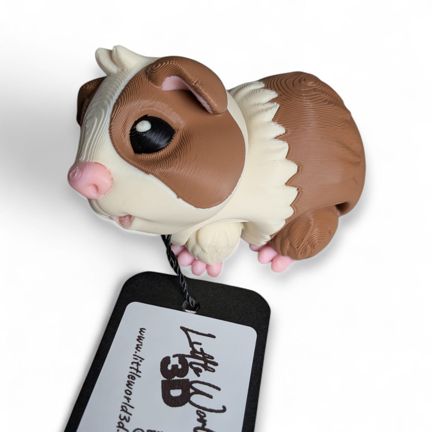Guinea Pig