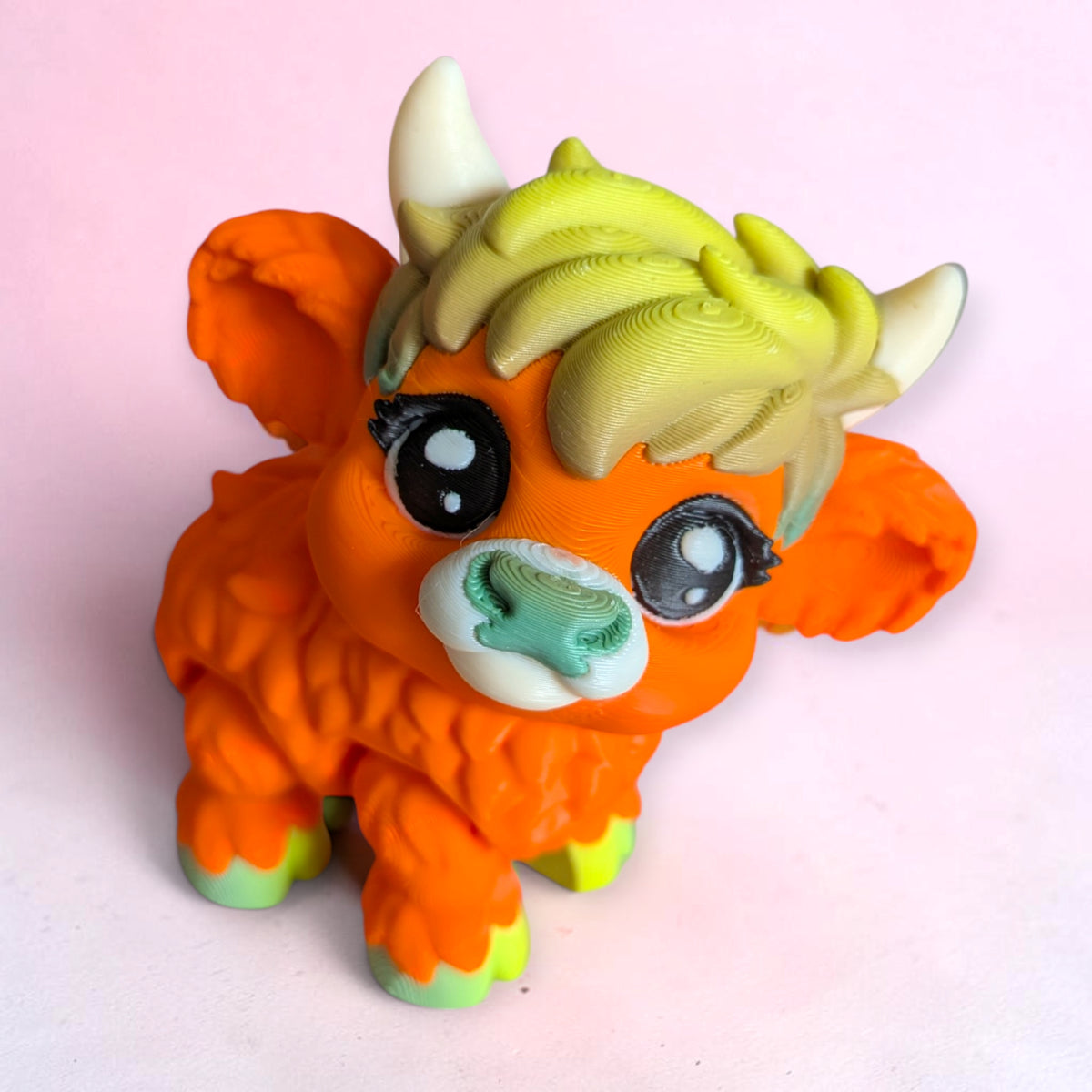 Highland Cow
