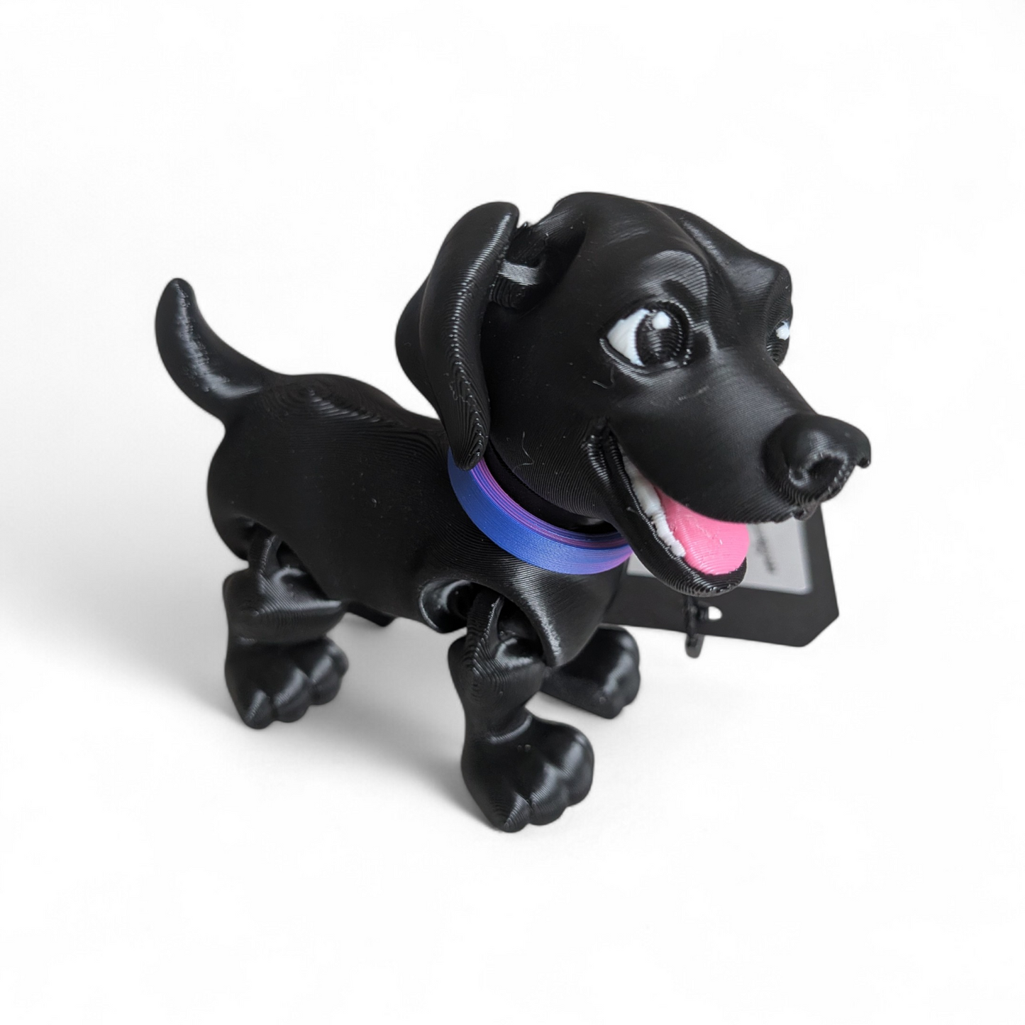 Labrador  — Loyal, Playful & Full of Heart