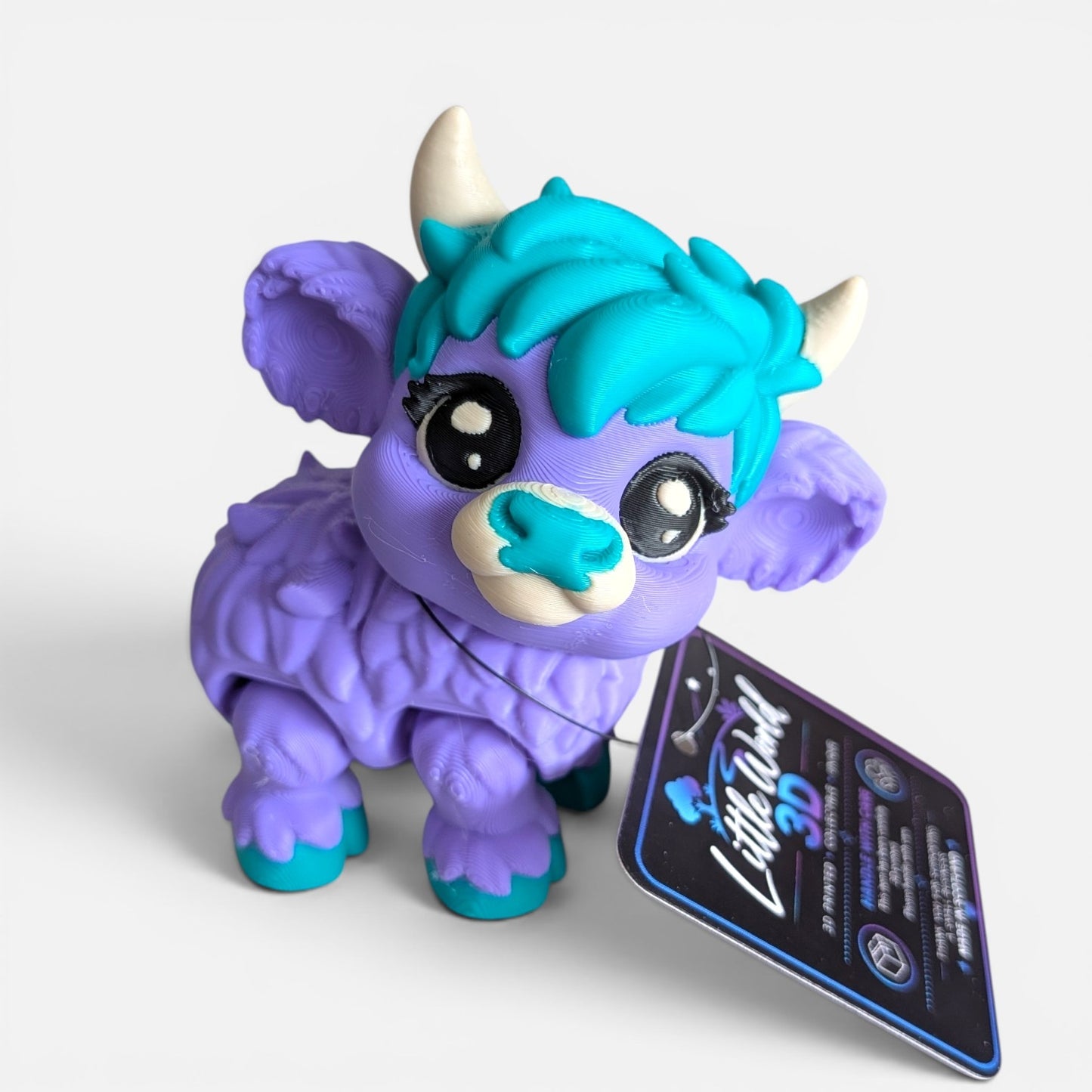 Highland Cow